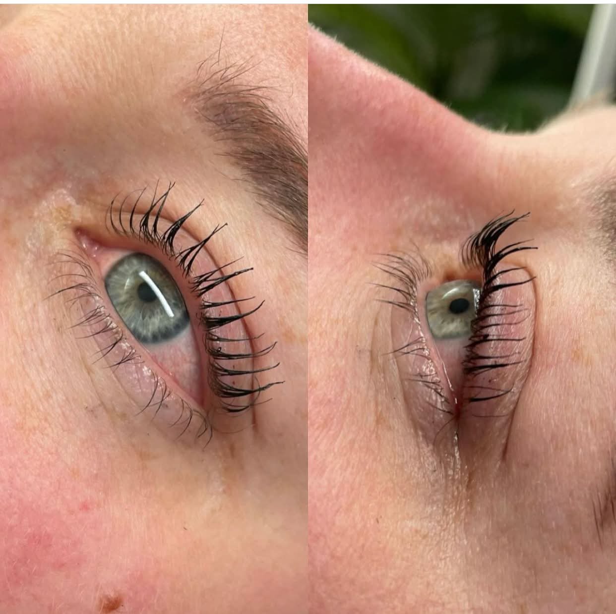 A lash lift